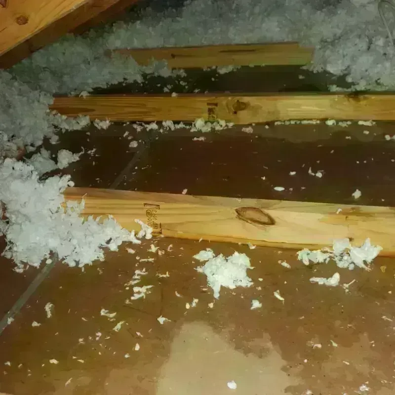 Attic Water Damage in Farmington, MO