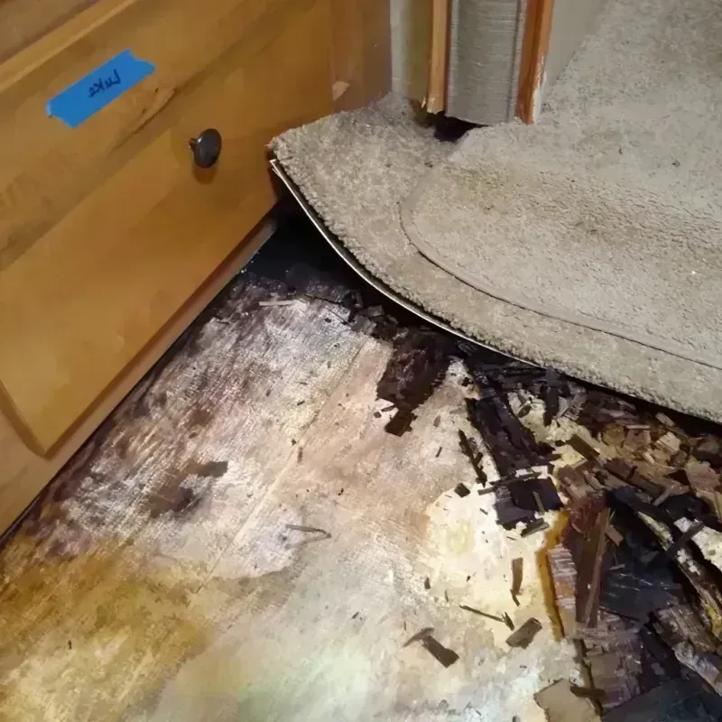 Wood Floor Water Damage in Farmington, MO